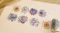 Preview: Design Washi Tape Blumen